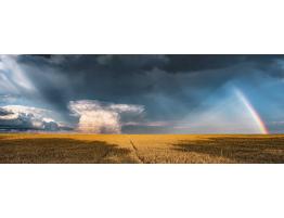 Puzzle Ravensburger Panorama Campo Después de la Tormenta 1000P