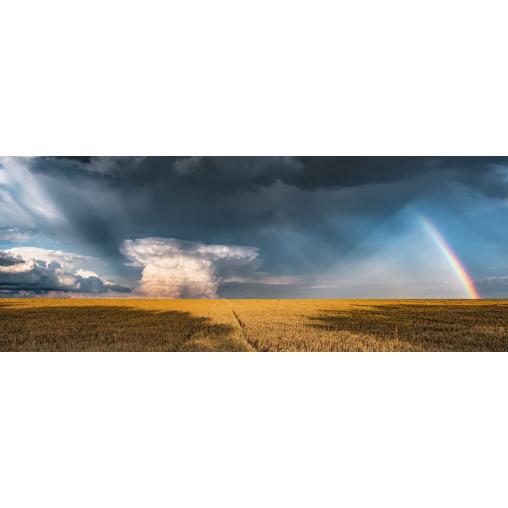 Puzzle Ravensburger Panorama Campo Después de la Tormenta 1000P