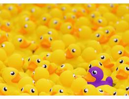 Puzzle Ravensburger Patos de Goma de 1000 Piezas