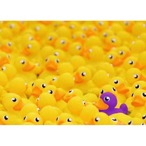 Puzzle Ravensburger Patos de Goma de 1000 Piezas