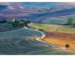 Puzzle Ravensburger Podere Terrapille, La Toscana de 1000 Pieza