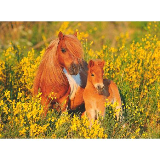 Puzzle Ravensburger Poni de las Shetland XXL de 100 Piezas