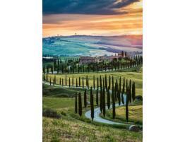 Puzzle Ravensburger Valle del Orcia, Toscana de 1000 Pzs