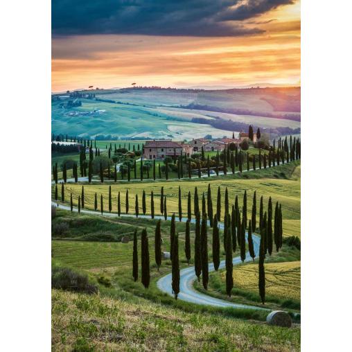 Puzzle Ravensburger Valle del Orcia, Toscana de 1000 Pzs