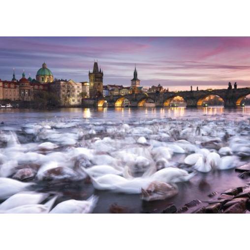 Puzzle Schmidt Cisnes de Praga de 1000 Piezas