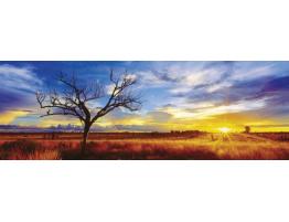 Schmidt Desert Oak Sunset Australie Puzzle de 1000 pieds