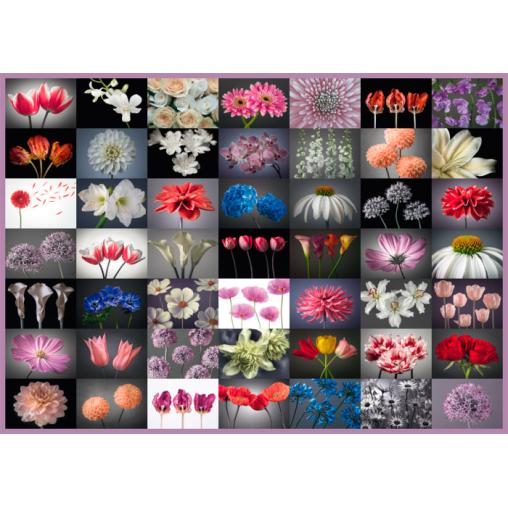 Schmidt Mix Fleurs Puzzle 2000 pièces