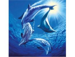 Schmidt Puzzle Famille de Dauphins 1000 pièces