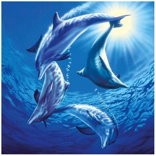 Schmidt Puzzle Famille de Dauphins 1000 pièces