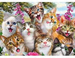 Puzzle Schmidt Selfie de Gatos de 500 Piezas