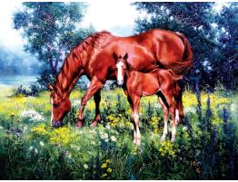 Puzzle SunsOut Caballos y Margaritas de 1000 Piezas