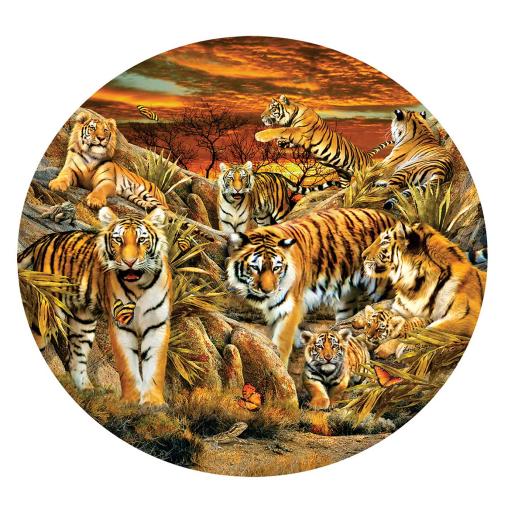 Puzzle SunsOut Circular Manada de Tigres XXL  500 Pzs