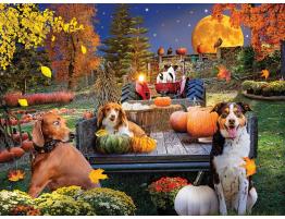 Puzzle SunsOut Cosecha de Calabazas para Halloween de 1000 Pzs