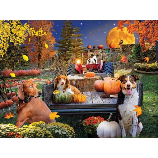 Puzzle SunsOut Cosecha de Calabazas para Halloween de 1000 Pzs