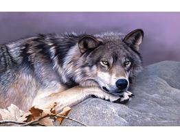 Puzzle SunsOut El Descanso del Lobo de 1000 Piezas