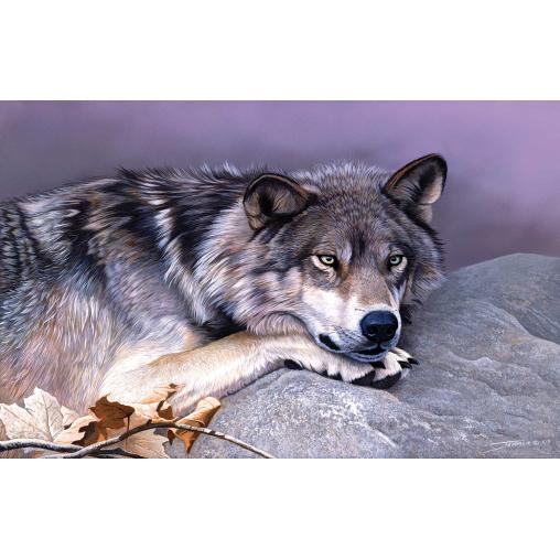 Puzzle SunsOut El Descanso del Lobo de 1000 Piezas