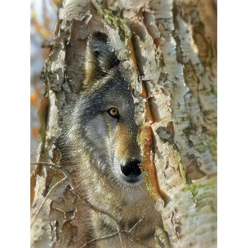 Puzzle SunsOut Encuentro con el Lobo XXL de 500 Piezas