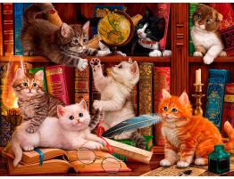 Puzzle SunsOut Gatitos de Biblioteca de 1000 Piezas