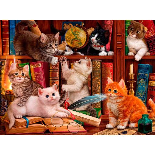 Puzzle SunsOut Gatitos de Biblioteca de 1000 Piezas