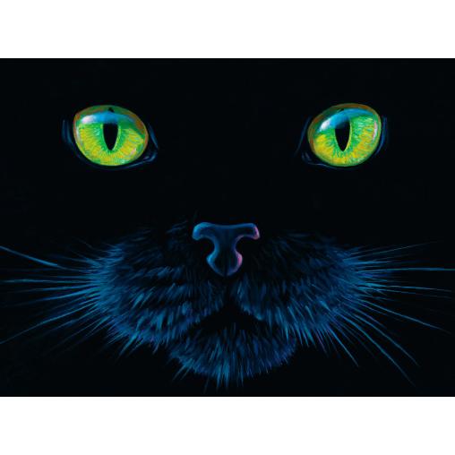 Puzzle SunsOut Gato Negro de 1000 Piezas