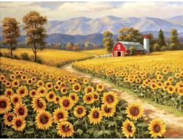 Puzzle SunsOut Granja de Girasoles de Red River XXL de 300 Piez