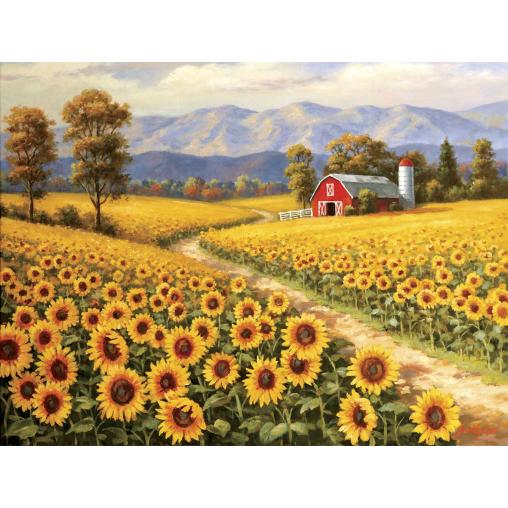 Puzzle SunsOut Granja de Girasoles de Red River XXL de 300 Piez