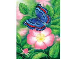 Puzzle SunsOut La Mariposa Azul de 1000 Pzs