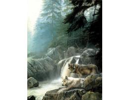 Puzzle SunsOut Lobos en la Cascada de 500 Piezas