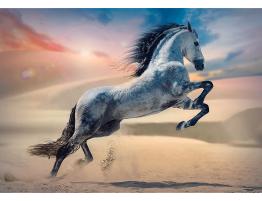 Puzzle Trefl Caballo Majestuoso de 1000 Piezas