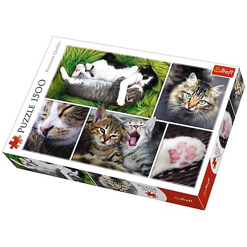 Puzzle Trefl Cosas de Gatos de 1500 Piezas