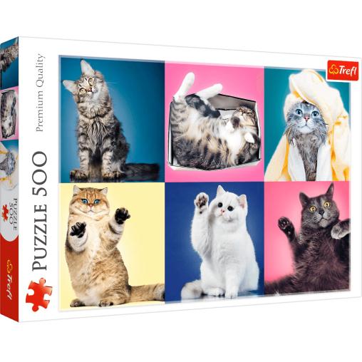 Puzzle Trefl Gatitos de 500 Piezas