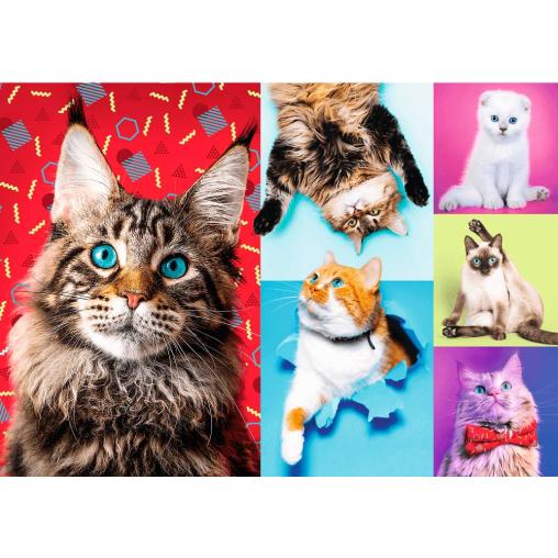 Puzzle Trefl Gatos Felices de 1000 Piezas