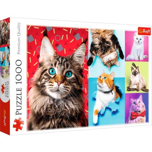 Puzzle Trefl Gatos Felices de 1000 Piezas