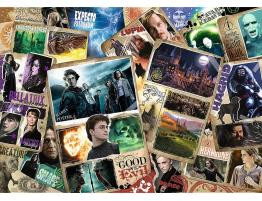 Puzzle Trefl Harry Potter, Personajes de 2000 Piezas