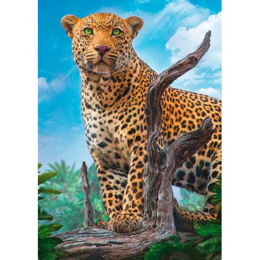 Puzzle Trefl Leopardo Salvaje Amenazante de 500 Piezas