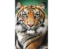 Puzzle Trefl Retrato de un Tigre de 1500 Piezas